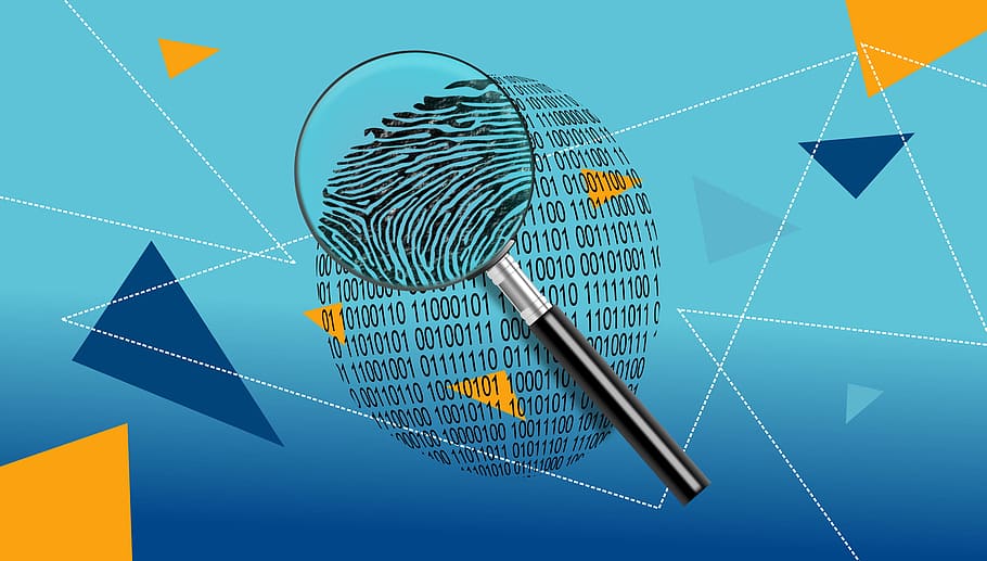 Intelligence & Investigation 